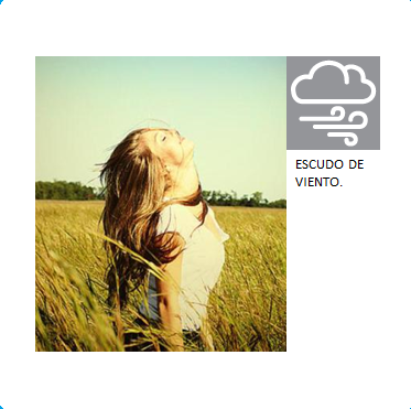 escudo_de_viento